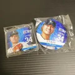 ダイヤのA 沢村栄純・御幸一也× 西武ライオンズ コラボ 缶バッジセット