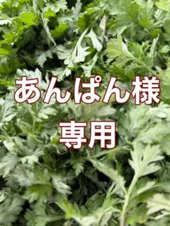 あんぱん様専用　　新鮮　よもぎ　千葉県産のサムネイル