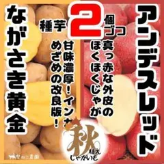 2025年最新】ジャガイモ デジマの人気アイテム - メルカリ