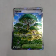 ポケモンカード 活力の森 SR