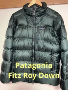 Patagonia ダークグリーン フィッツロイ ダウンジャケット L