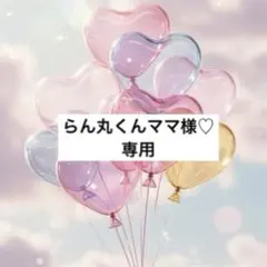 らん丸くんママ様 リクエスト 3点 まとめ商品
