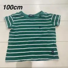 Polo ボーダー Tシャツ 100cm 半袖　トップス　美品