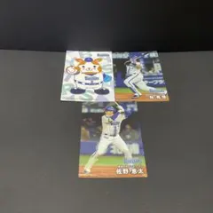 プロ野球チップス 2025 スターマン 牧秀悟 佐野恵太 ベイスターズ