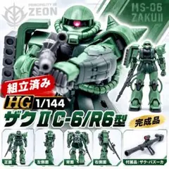 HG 1/144 ザクII C-6/R6型 組立済ガンプラ THE ORIGIN