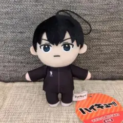 2025年最新】影山飛雄 ぬいぐるみの人気アイテム - メルカリ