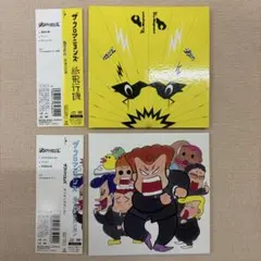 レア入手困難☆ブルーハーツハイロウズクロマニヨンズ☆ステッカー