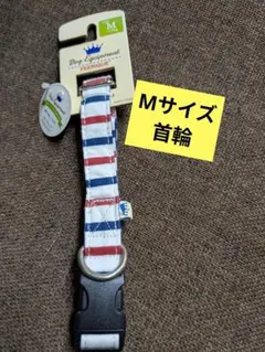 Item thumbnail for item c1e22c8b-0c79-42a6-b246-3f75202f0cda