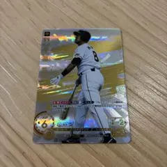 ドリームオーダー　LG 原辰徳　勇壮の巨人 球団ブースター 読売ジャイアンツ「勇壮の巨人」 - PRODUCTS