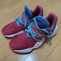 ハーデン4 27cm