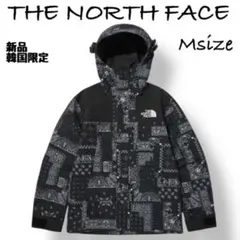 最終価格★新品★The North Face ゴアテックス　ペイズリー柄 黒 M
