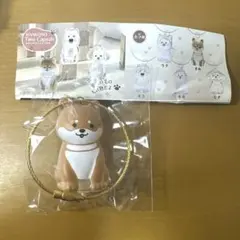 わんこのタイムカプセル