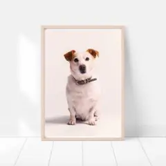 W105★A4ポスター アート 犬 dog