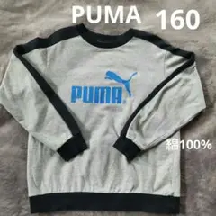 PUMA 160 トレーナー 綿100%