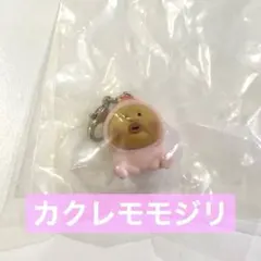 こびとづかん めじるしアクセサリー　カクレモモジリ