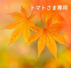 トマトさま専用ページです。