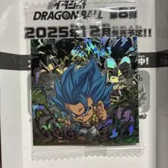 ドラゴンボール スーパーヴィジータ ホロシール