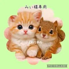 【4月】みい様専用