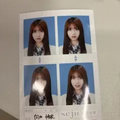 向井地美音 証明写真 seju 4枚セットのサムネイル