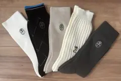 カステルバジャック　men's靴下