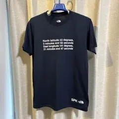 THE NORTH FACE Tシャツ Mサイズ
