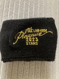 B'z リストバンド Amazon.co.jp: B'z ENDLESS SUMMER リストバンド 3種セット