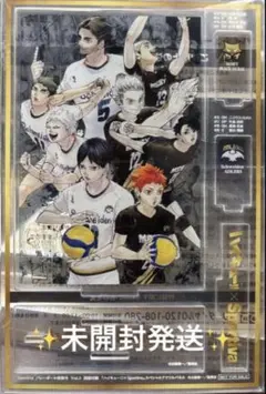 ❤️ ハイキュー!! × Sportiva スペシャルアクリルパネル
