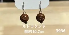 ピアス　ルドラクシャ(3936)