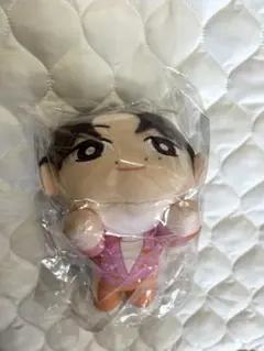 SEVENTEEN ジュン　ぬいぐるみ　マスコット　SEGA