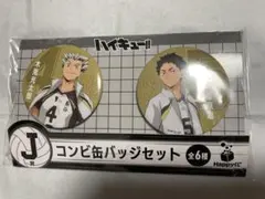 ハイキュー　一番くじ　缶バッチ　J賞