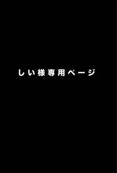 専用ページ