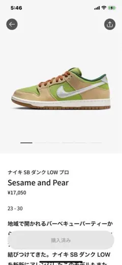 NIKE SB ダンク LOW プロのサムネイル