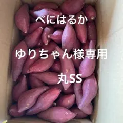 ゆりちゃん様専用　丸SS 10キロのサムネイル