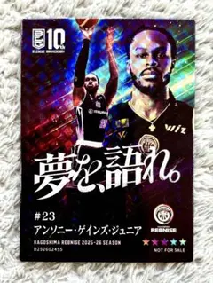 Item thumbnail for item 77498159-4034-4e44-9b5a-277a5451bf94