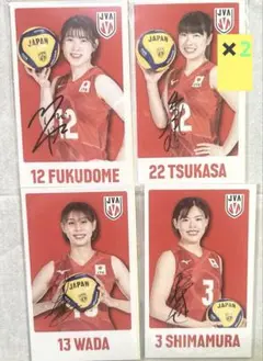 バレーボール女子日本代表 ステッカー福留慧美、中川つかさ、和田由紀子、島村春世