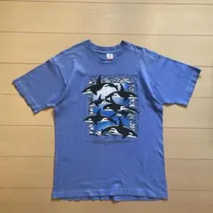 90s fruit of the room USA製 Tシャツ シャチ 魚