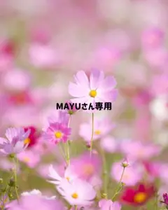 MAYUさん専用 2点おまとめ