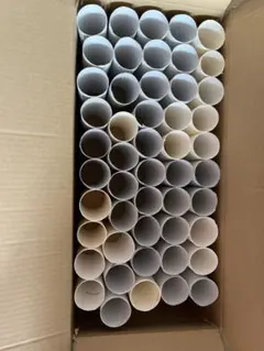 トイレットペーパーの芯 大量セット 工作材料 自由研究