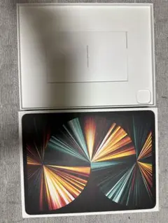 iPad Pro 12.9インチ （第5世代）512GB