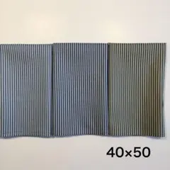 Item thumbnail for item 922bda03-59c4-493c-bfe1-0907571687e6