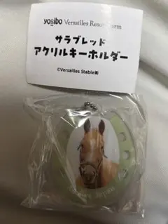 yogibo サラブレッドアクリルキーホルダー　アドマイヤジャパンA