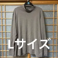 Item thumbnail for item 1d098c02-3571-4c9d-a813-03820e8df13a