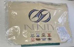 LDH PERFECT YEAR 2020 INFINITY ビック エコバッグ