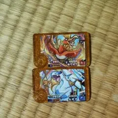 ポケモンフレンダ カードセット 2枚
