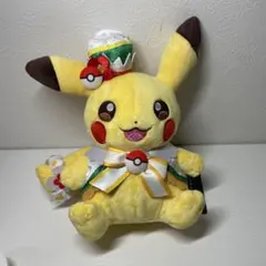 新品・袋付】ポケパークカントー 限定ピカチュウ ぬいぐるみ大 - メルカリ