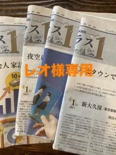 レオ様専用　プラスワン