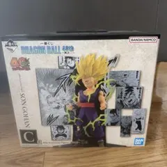 ドラゴンボール一番くじ　其ノニ　C賞　孫悟飯　フィギュア