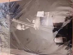 Item thumbnail for item 99d4c0a9-0fbb-4544-bd81-fa20377dc3fe