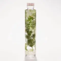✨ hikka スリムボトル ハーバリウム プリザーブドフラワー GREEN小