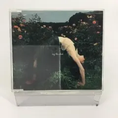 邦楽CDシングル　globe try this shoot〈セル盤〉SCDく